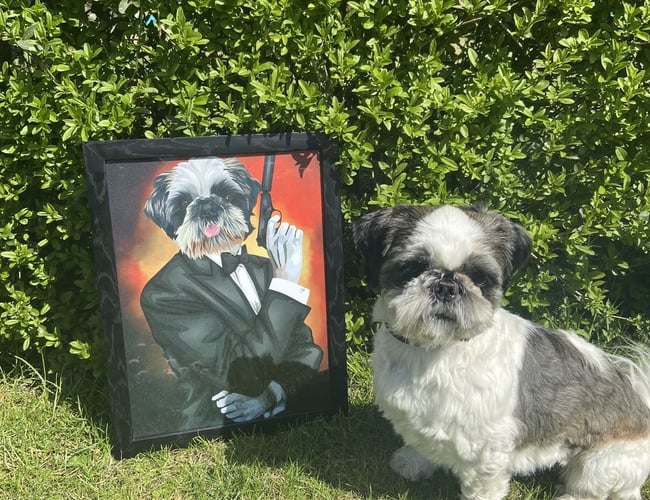 SJOVPLAKAT.DK til salg - 