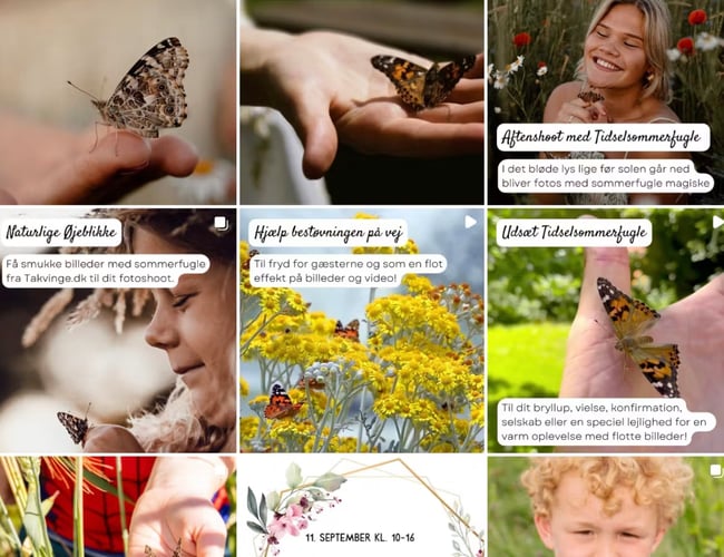 Takvinge.dk - Distribution af opdrættede sommerfugle til bryllup og film i Danmark. - Har omsætning