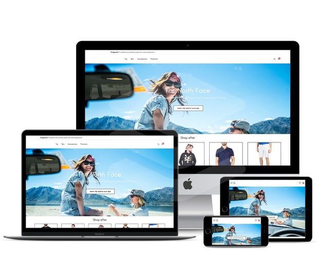 Helt nyt dropshipping koncept klar til lancering