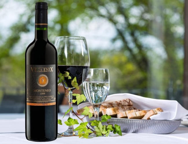 Webshop med vine fra Sydspanien. Sælges for under indkøbsprisen