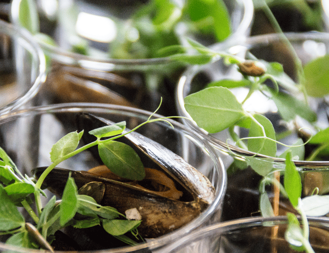 Midt & østjysk cateringvirksomhed 