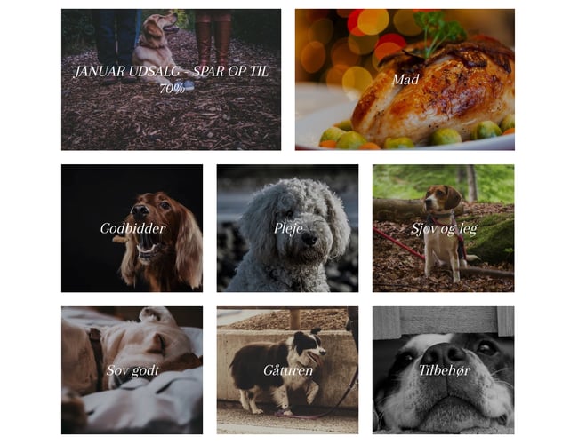 Charlietiptoe.com - Eksklusivt hundeudstyr sælges - Omsætning på 42.000 kr.