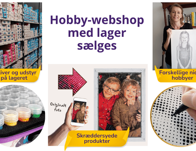 Webshop indenfor populær niche-hobby sælges