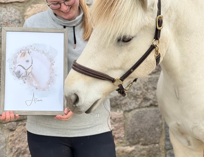 PawPrints.dk - Kæledyrsportrætter, puder, kaffekrus og muleposer