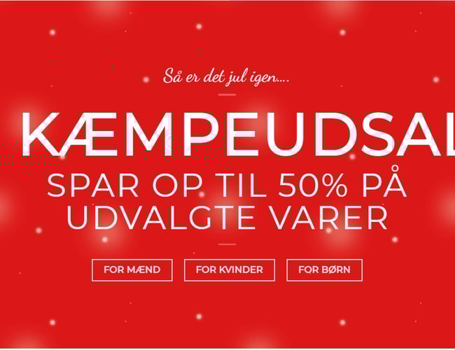 Fantastisk Webshop i en god nichebranche