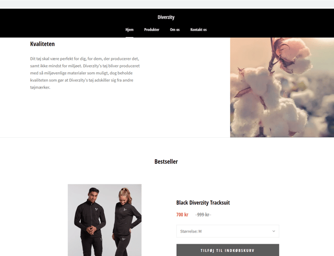 50.000 kr. i omsætning på under 1 år! - webshop med street og sportswear