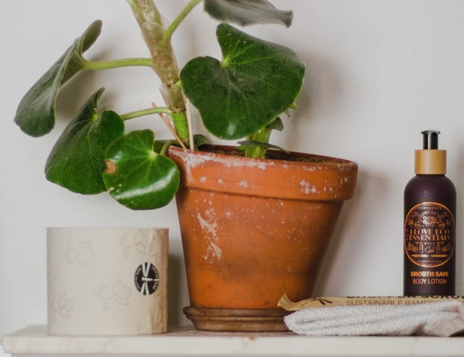 Theorganicclub.com - Webshop med kvalitet og bæredygtighed i fokus