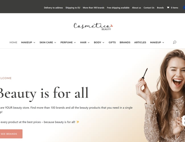 3 x Dropshipping webshops med salg i hele Europa - Omsætning åtd. +170.000 kr. 