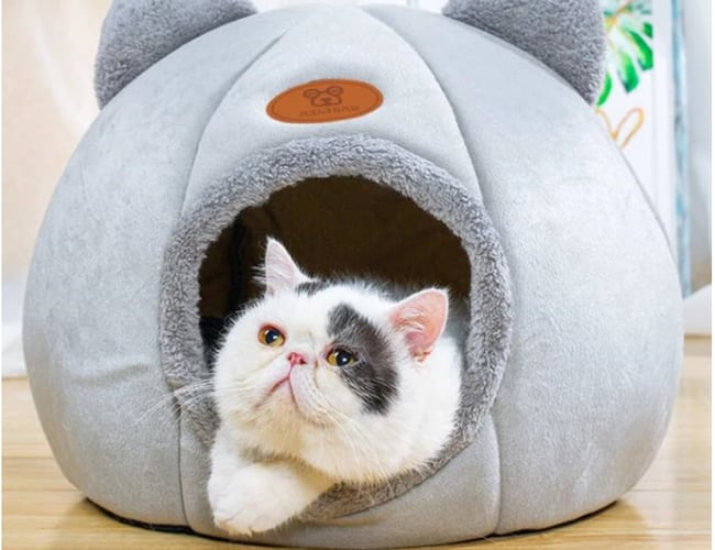 Webshop med salg af kæledyrs produkter - Omsætning på: 10.000 kr. på 1 måned.