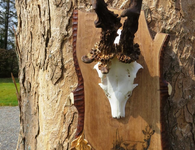 Niche jagtudstyr - Omsætning 20/21:  365.000 kr. - Organisk salg