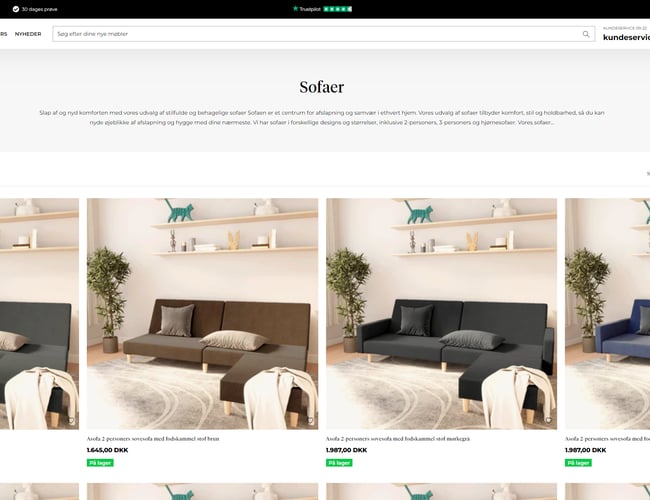 Dropshipping webshop med +300.000 kr i omsætning på få uger