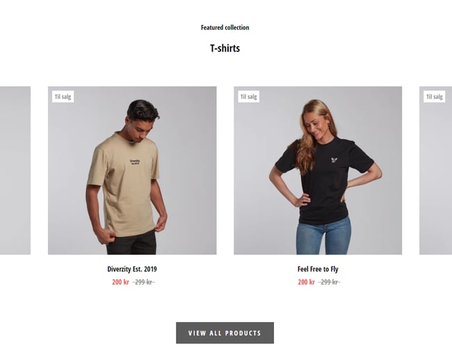 50.000 kr. i omsætning på under 1 år! - webshop med street og sportswear