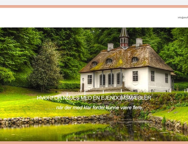 Partner eller investor søges til www.skuffesag.dk