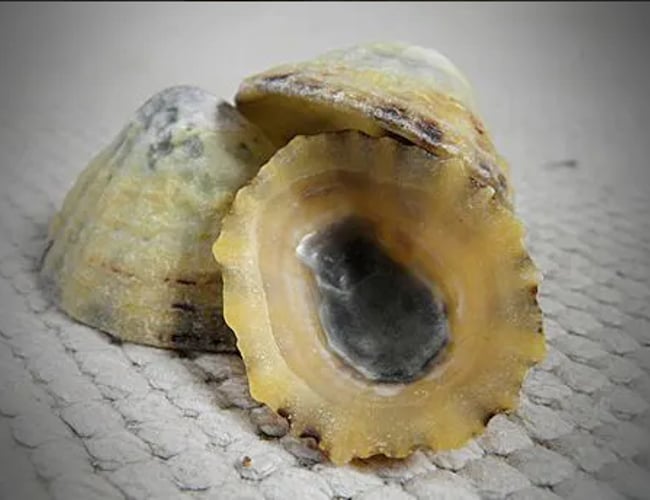 Produkt til ammende kvinder - Aftaler med landets apoteker - Har omsat 5-10.000 kr. i år. 