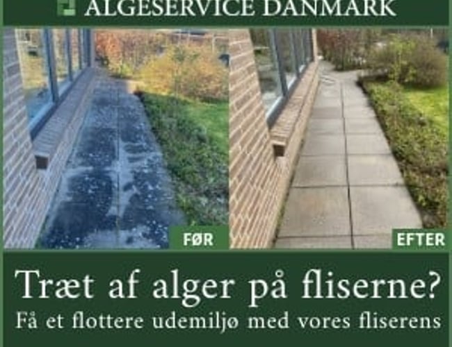 Super tilbud. Bliv selvstændig for få penge (200.000Kr.) + Moms.