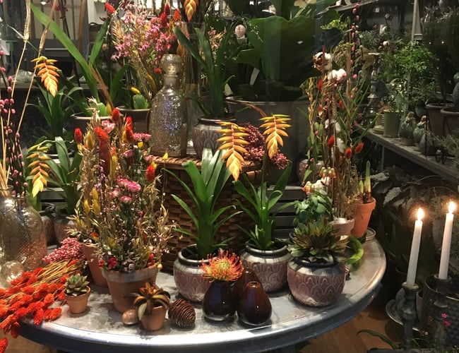 Blomsterbutik afståes