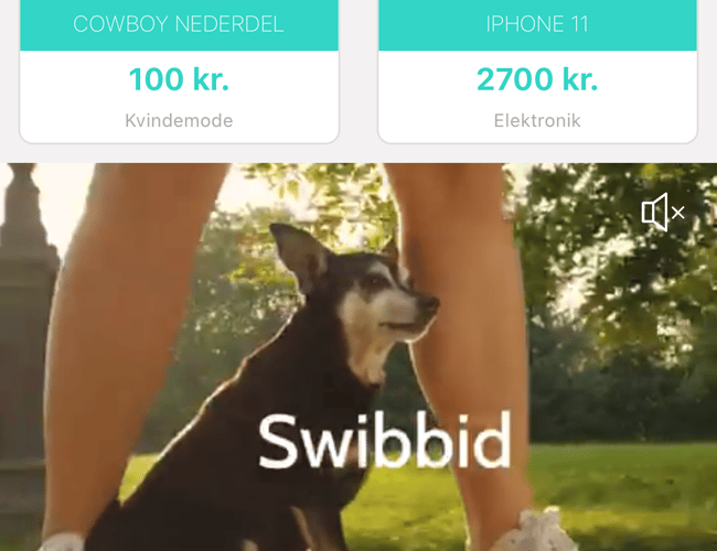 Vil du skabe det nye DBA? Eller brugtmarked kun for elektronik, gaming eller noget andet? 