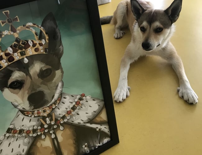 SJOVPLAKAT.DK til salg 