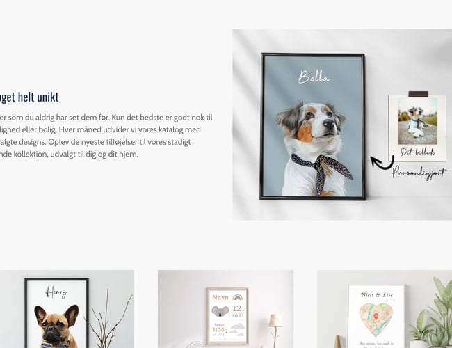 Plakat webshop med omsætning sælges - Dropshipping - omsat for 6500kr. på 3 uger med 300 kr. i ad spend