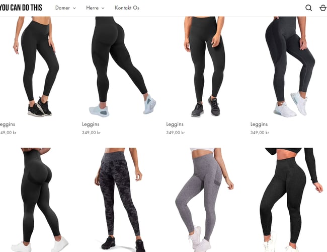 Salgsklar dropshipping fitness webshop med 2-5 dages levering, 200+ produkter