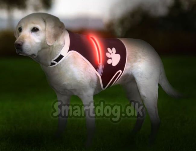 Smartdog.dk - SEO-optimeret webshop med overskud - 2,6 mio. omsætning