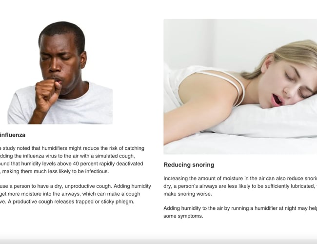 Professionel Niche Dropshipping Hjemmeside+Instagram - Salg af Luftfugtere