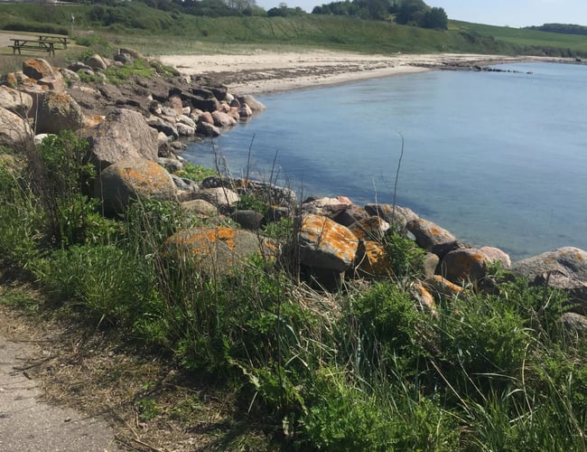 Havn afhændes på Nordlangeland - Bortforpagtning, salg eller en kombination