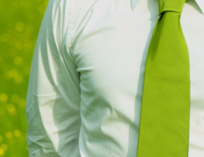 App, backend + frontend til 1/2 mill. med forretningsplan og samarbejdsaftaler + internationalt potentiale.