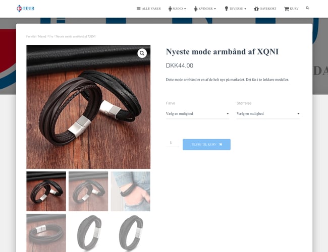 shop.teur.dk - Passiv dropshipping webshop med accessories