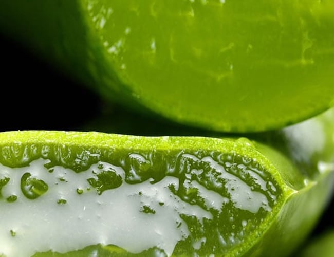 Igangværende Webshop med salg af de kendte Aloevera Barbadensis produkter.