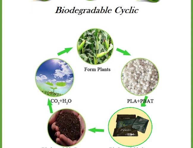 Biosheet ApS - Patenteret bionedbrydeligt ark til håndvasken - Søger partner, eller salg