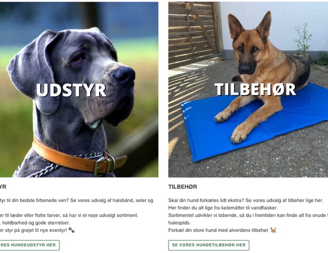 Baldersverden.dk – Webshop med artikler til store hunde – Nichémarked