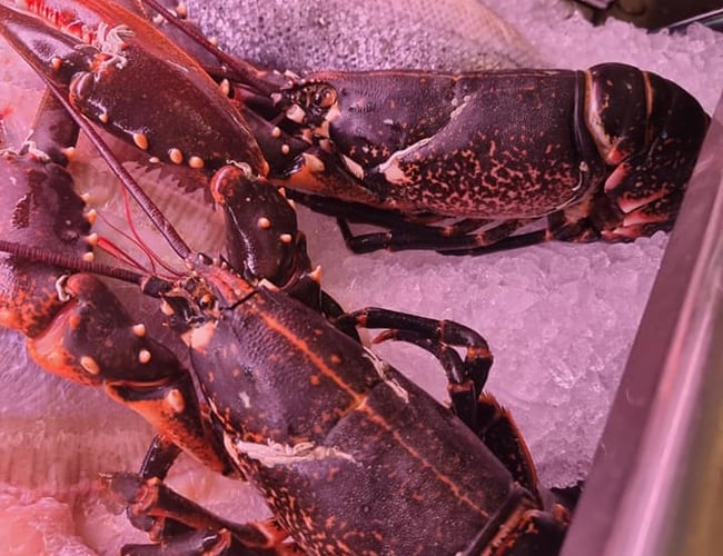 Super Flot fiskebutik i hjertet af Øgade- kvarteret. - Aalborg.