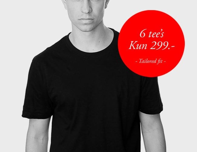 Velfungerende webshop koncept med vækstpotentiale