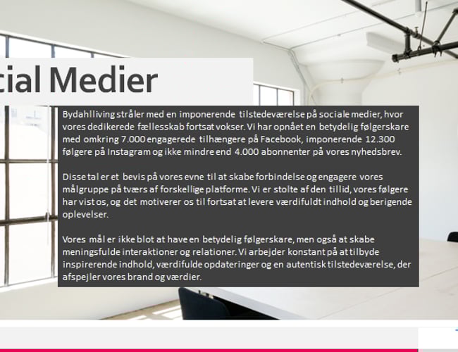 Webshop i 4 lande sælges (under konkurs)