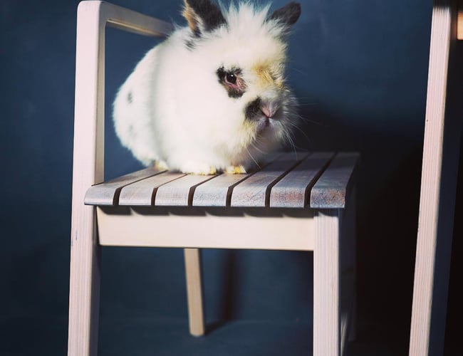 Flot interiør design til børn - 2 års udvikling og et færdigbygget koncept