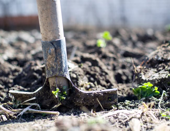 Webshop indenfor haveartikler med omsætning sælges