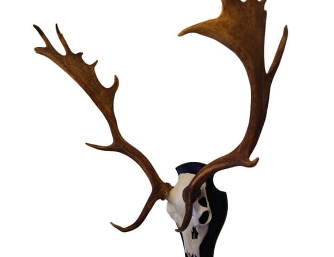 Veletableret niche webshop med Jagtudstyr - omsætning 404 t. kr. med stor organisk salg.