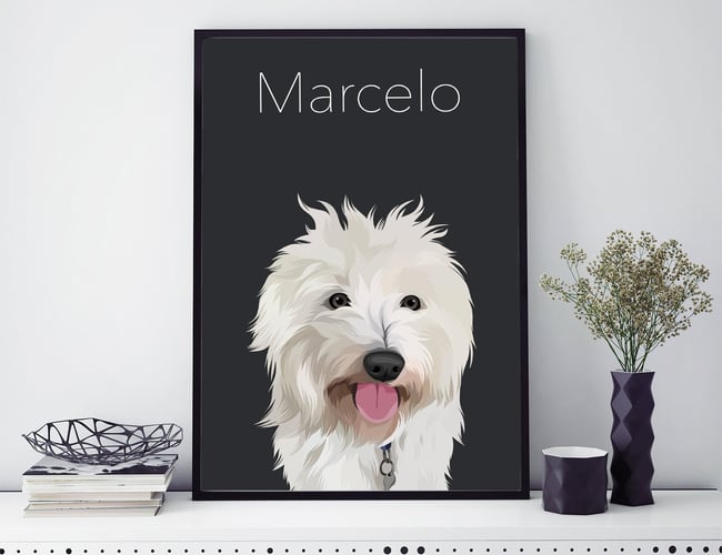 Tids- og ressourcesparsom plakatwebshop til kæledyrs - ÅTD omsætning: ca. 50.000 kr.