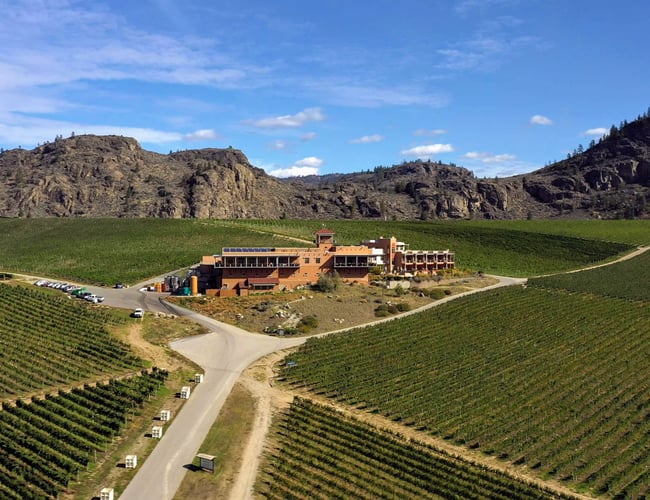 Online vin og deli butik til salg