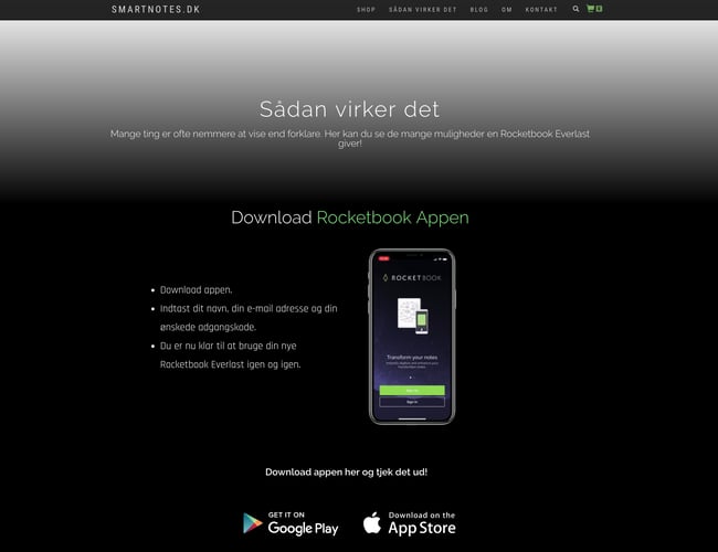 Webshop med 100.000 kr. i omsætning 