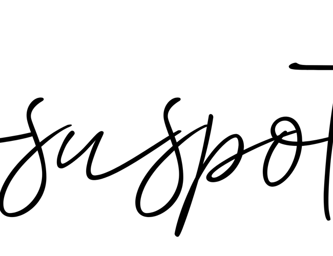 👉 Klar til overtagelse: Etableret nichewebshop med stærkt hundebrand 🐾