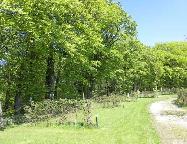 Forpagtning af moderne campingplads i midtjylland med stabil omsætning og indtjening