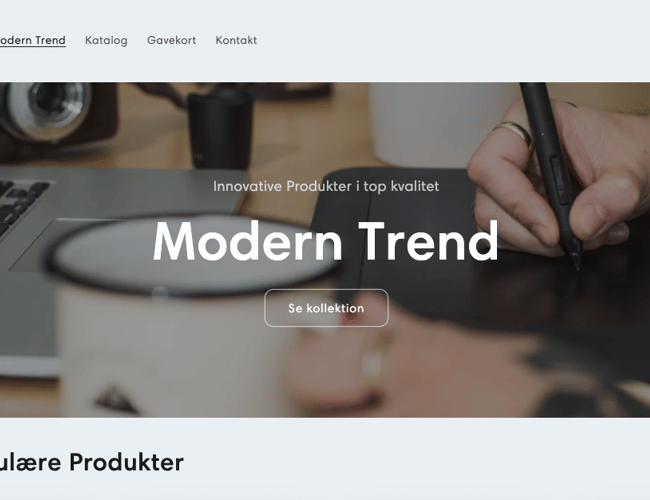 Dropshipping Webshop til salg