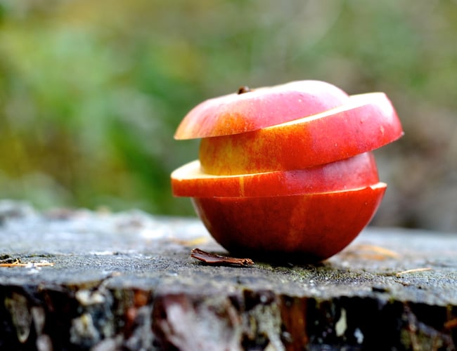 Hobbyvirksomhed med overskud og potentiale til meget mere!