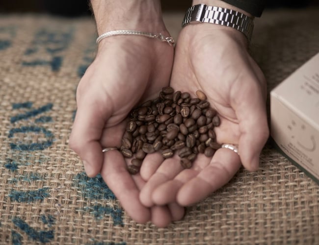 Webshop med abonnement af komposterbare kaffekapsler - Omsætning på 12 måneder: 303.482 DKK - Private label