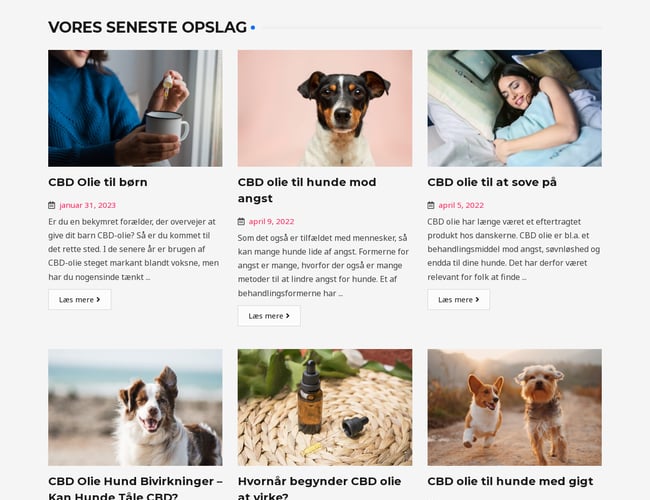 Passiv indtjening gennem affiliate hjemmeside - CBDkuren.dk