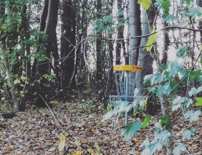 Discgolf Webshop - Fuldt fungerende hjemmeside med betalingløsning og lille lager - Til salg