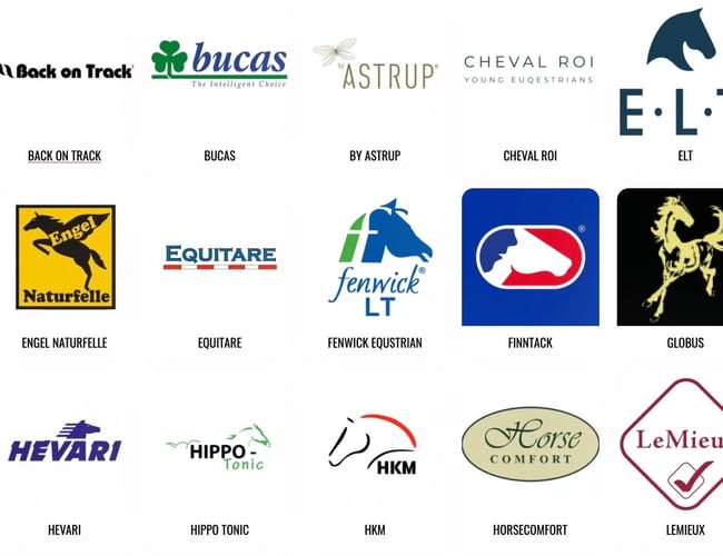 Webshop med rideudstyr til børn, ponyer og hestepiger - Nettoomsætning: 214.000 kr.