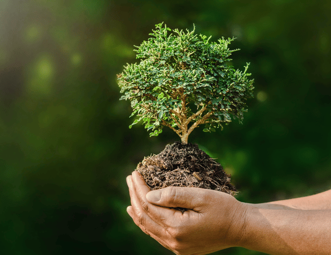 Sund HR virksomhed til salg - Omsætning på 2.276.000 DKK i 2022 - Overskud før skat: 633.000 DKK